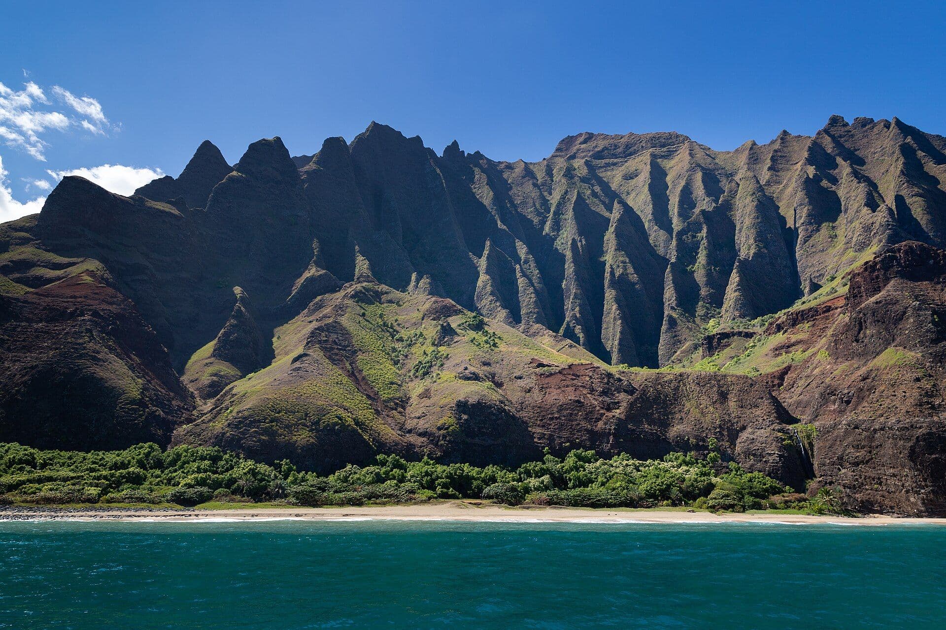 Tropical coastline